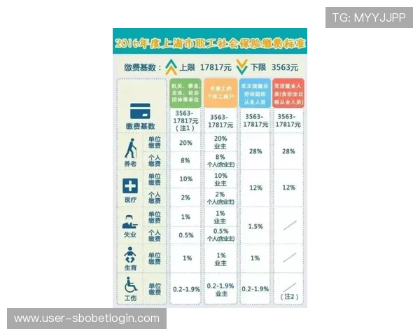 新富豪娱乐城充值提现操作指南确保资金安全高效完成每一次交易 新富豪娱乐城充值提现操作指南确保资金安全高效完成每一次交易